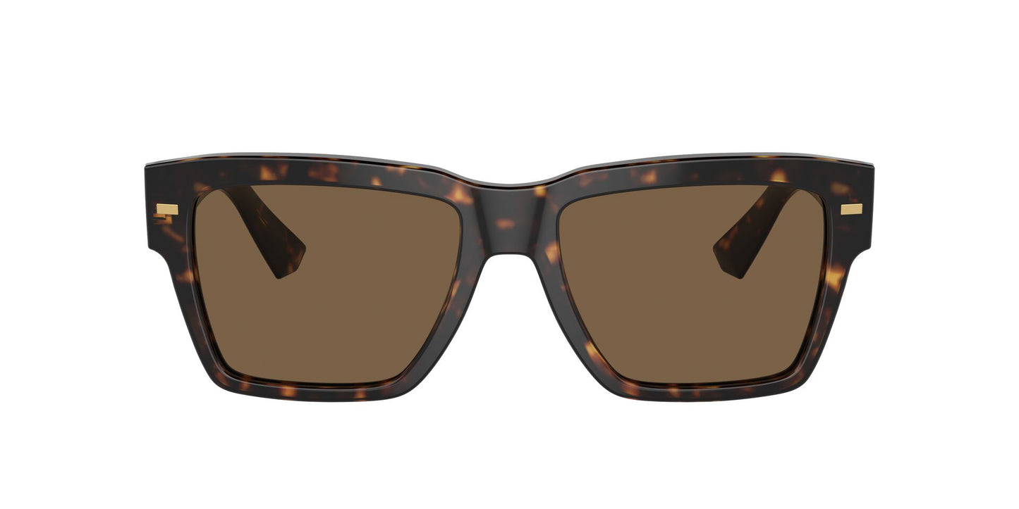 DOLCE & GABBANA DG4431 502/73 55/18
