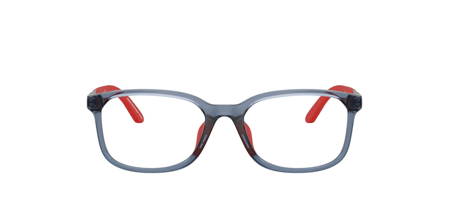 EMPORIO ARMANI EA3008U 6278 49/16 130