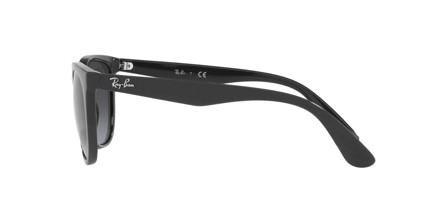 RAYBAN RB4381I 6185/8G 53/20 140