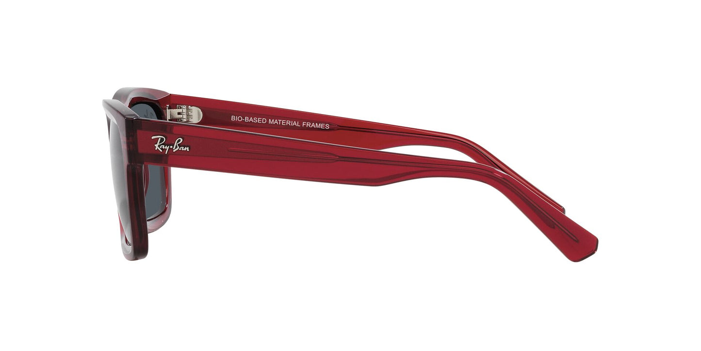 RAYBAN RB4396 6679/87 54/20 145