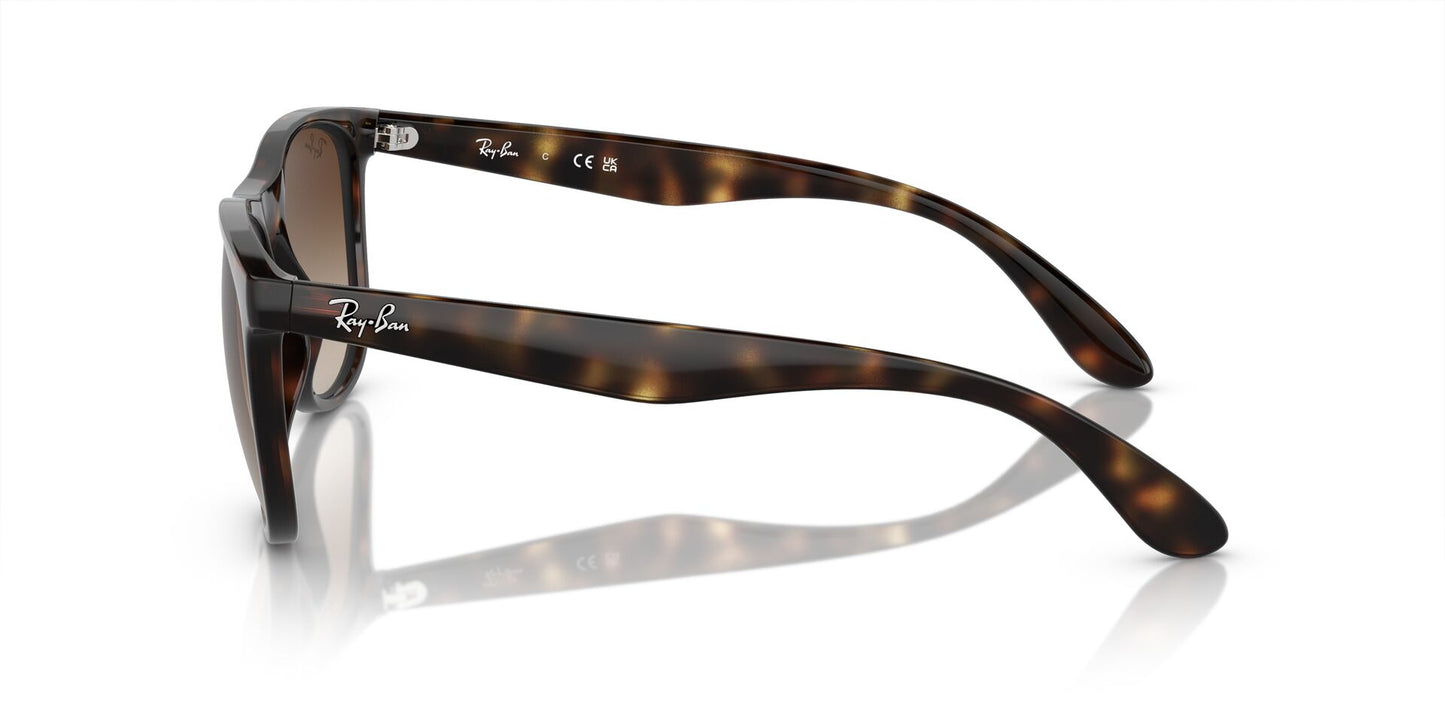 RAYBAN RB4412I 710/13 57/19  145