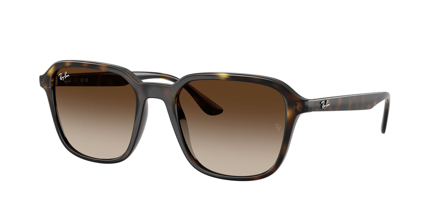 RAYBAN RB4465I 710/13 54/20 145