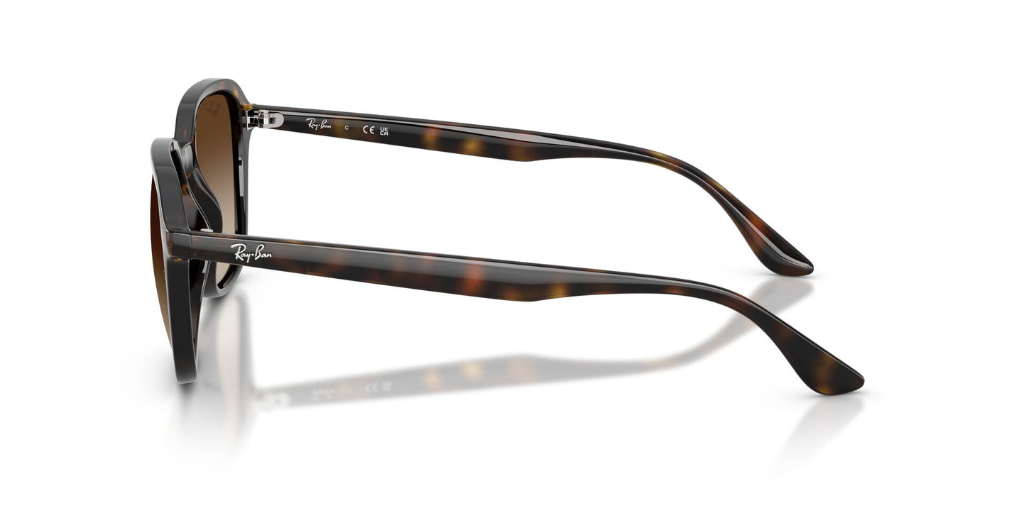 RAYBAN RB4465I 710/13 54/20 145