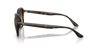 RAYBAN RB4465I 710/13 54/20 145