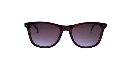 TOMMY HILFIGER TH1558 C5 53/19 145