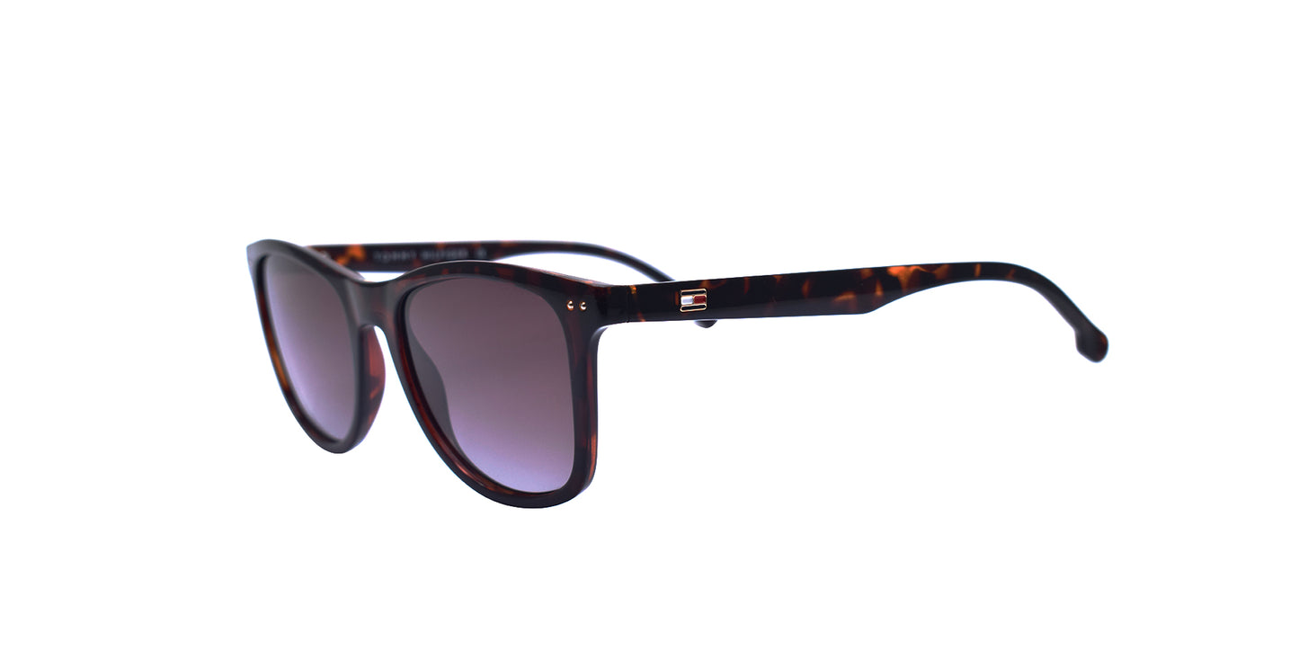 TOMMY HILFIGER TH1558 C5 53/19 145