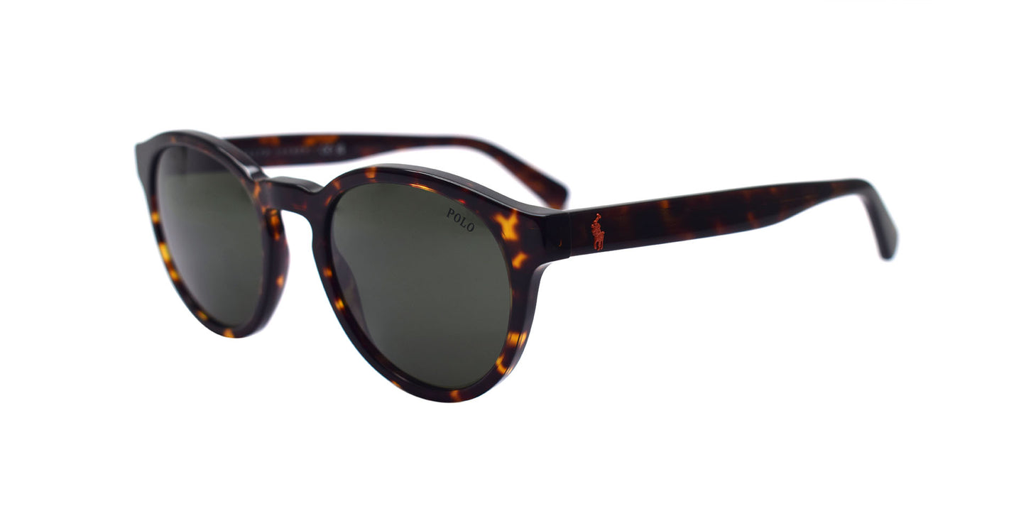 POLO RALPH LAUREN PH4192 5003/71 51/21 145