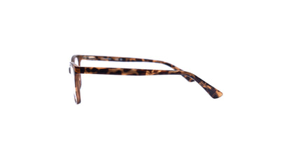 CALVIN KLEIN CK23516 220 52/15 140