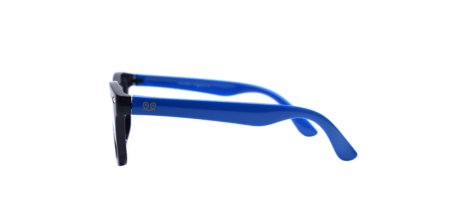 PITT &  MITT PMS-015P C1 47/16 129
